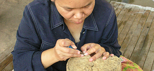 KANIKA  - organisation - staff